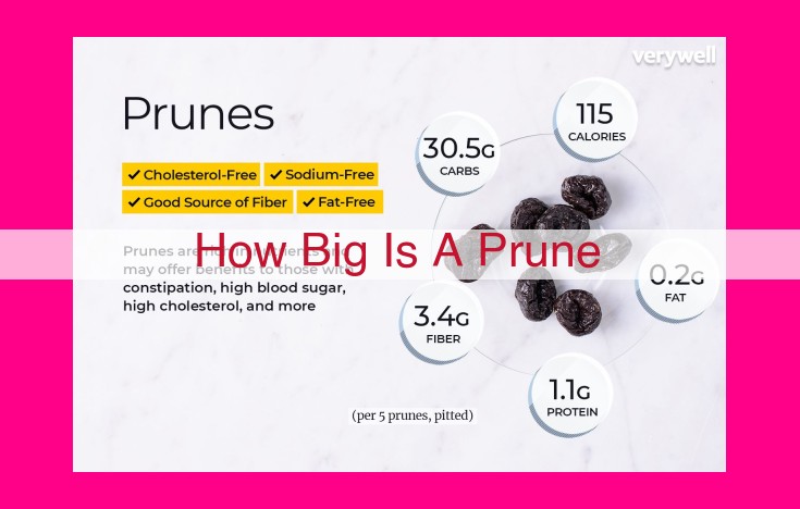 how big is a prune