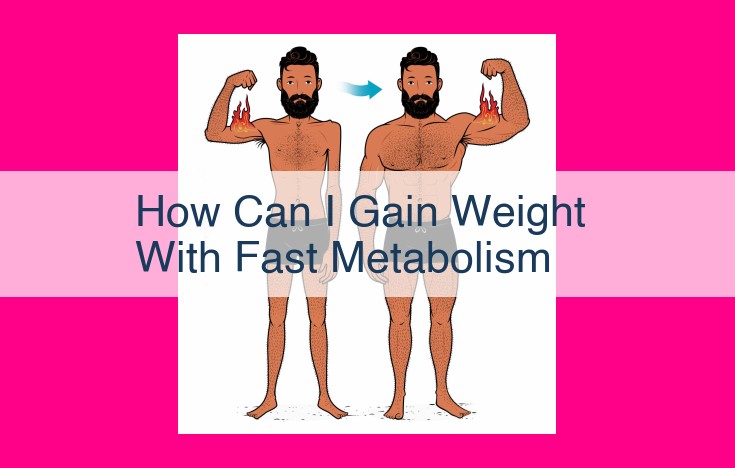 how can i gain weight with fast metabolism