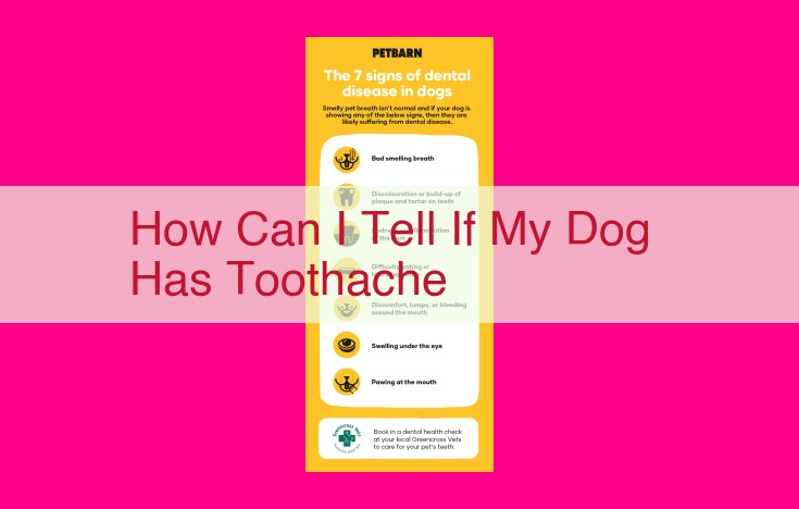 how can i tell if my dog has toothache