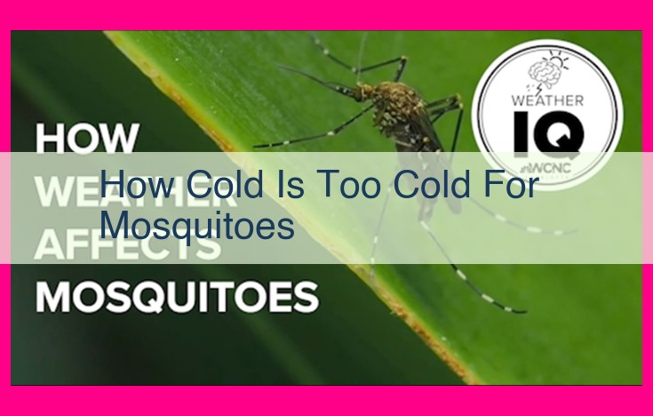 how cold is too cold for mosquitoes