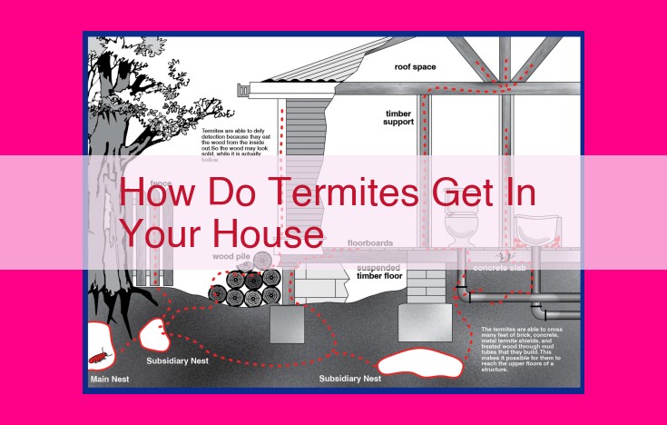 how do termites get in your house