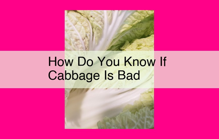 how do you know if cabbage is bad