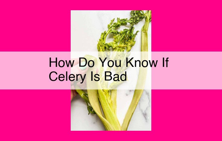 how do you know if celery is bad