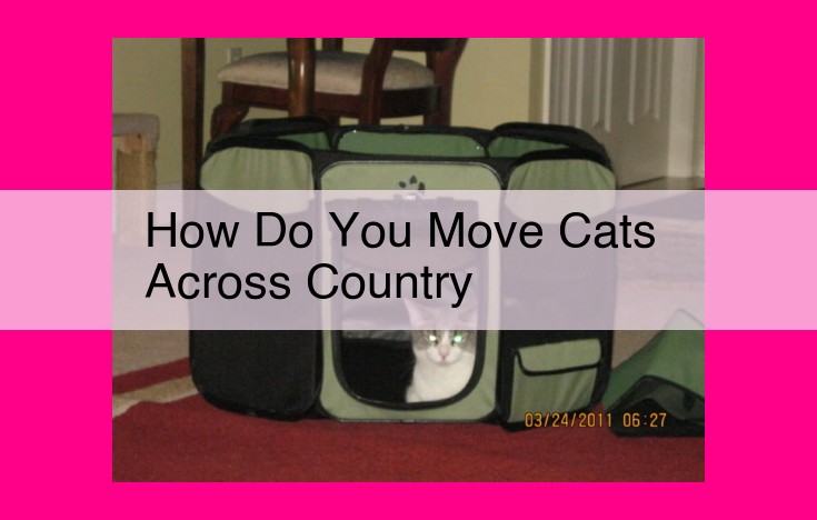 how do you move cats across country