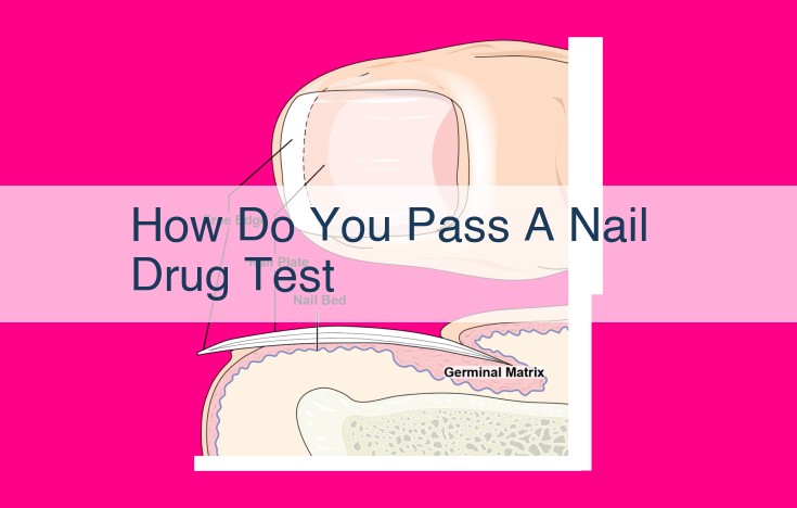 how do you pass a nail drug test