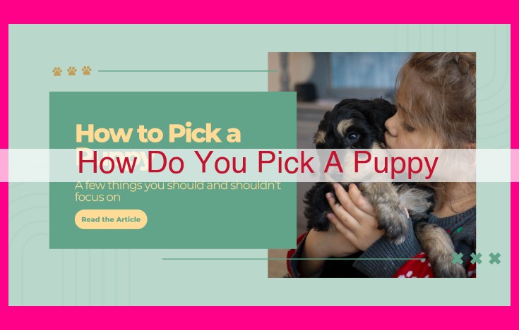 how do you pick a puppy