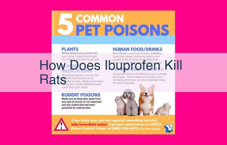 how does ibuprofen kill rats