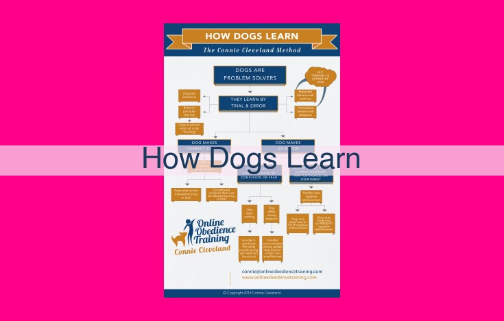 how dogs learn