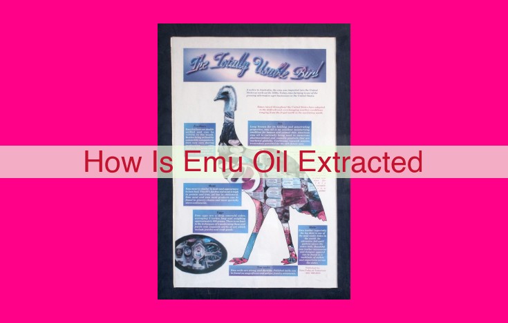 how is emu oil extracted