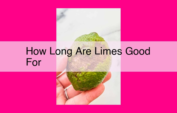 how long are limes good for