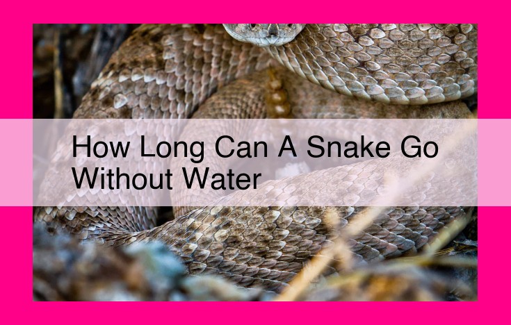 how long can a snake go without water