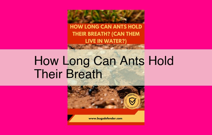 how long can ants hold their breath