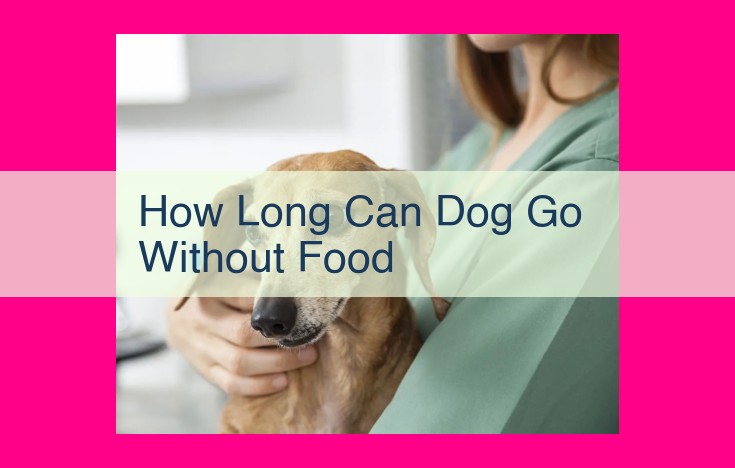 how long can dog go without food