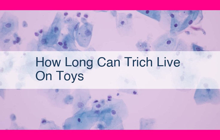 how long can trich live on toys