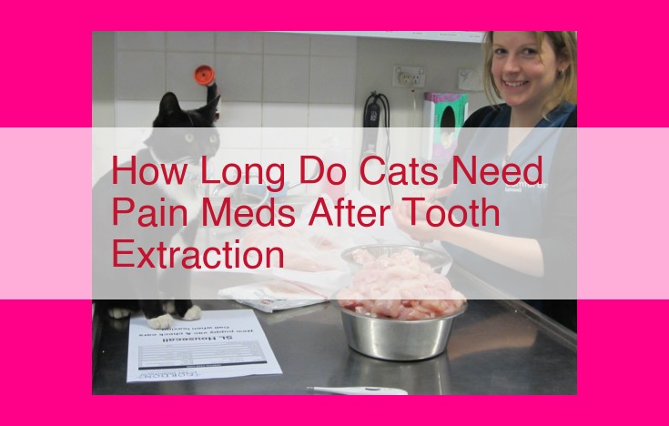 how long do cats need pain meds after tooth extraction