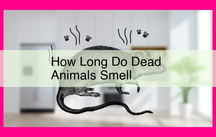 how long do dead animals smell