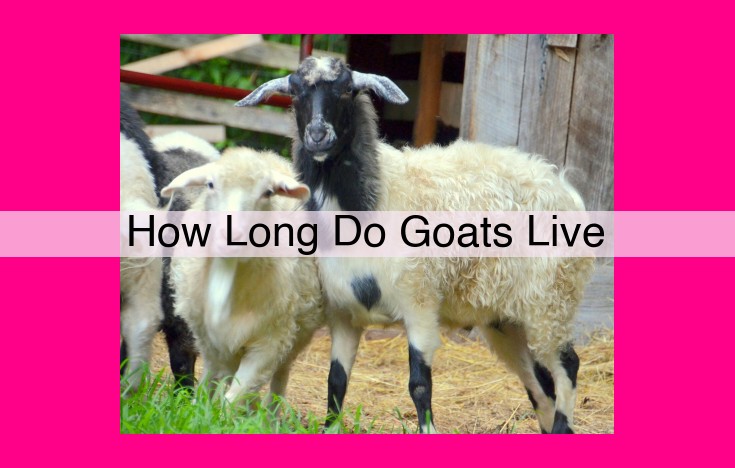 how long do goats live