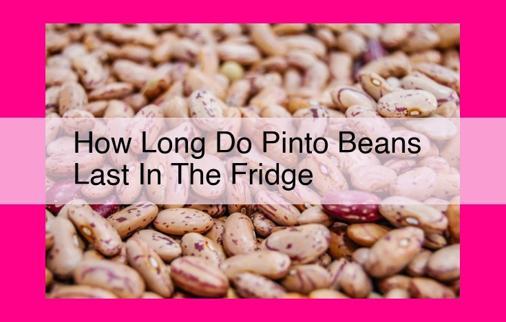 how long do pinto beans last in the fridge