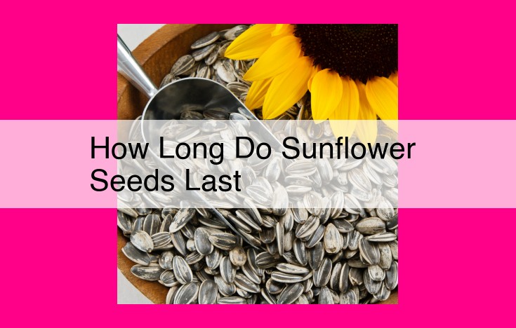 how long do sunflower seeds last