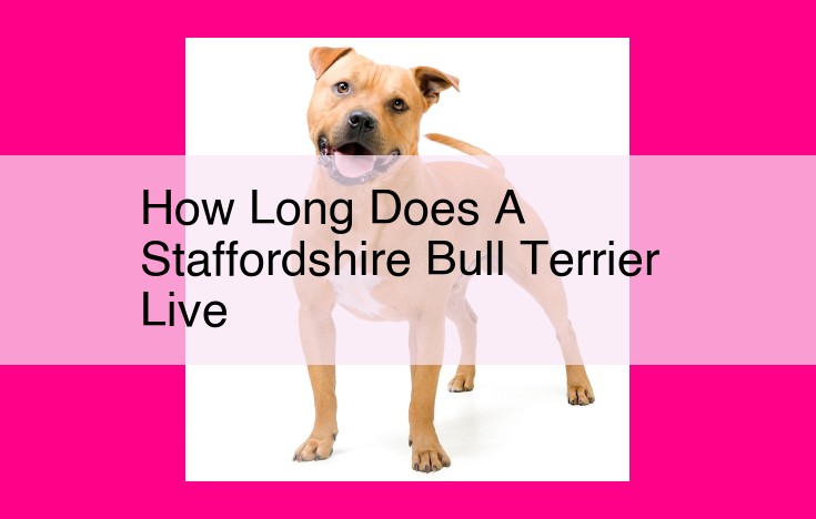 how long does a staffordshire bull terrier live