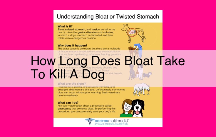 how long does bloat take to kill a dog