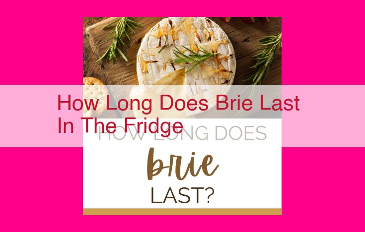 how long does brie last in the fridge