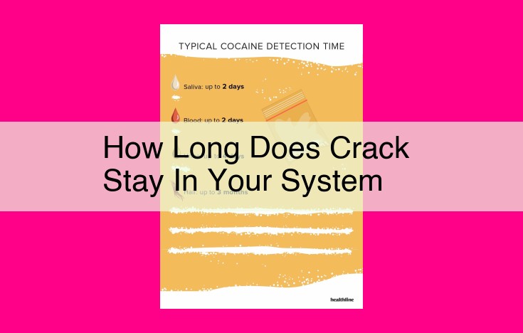 how long does crack stay in your system