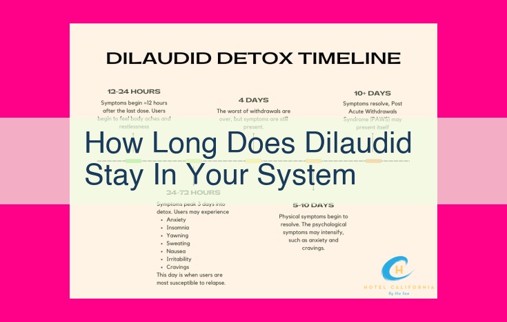 how long does dilaudid stay in your system