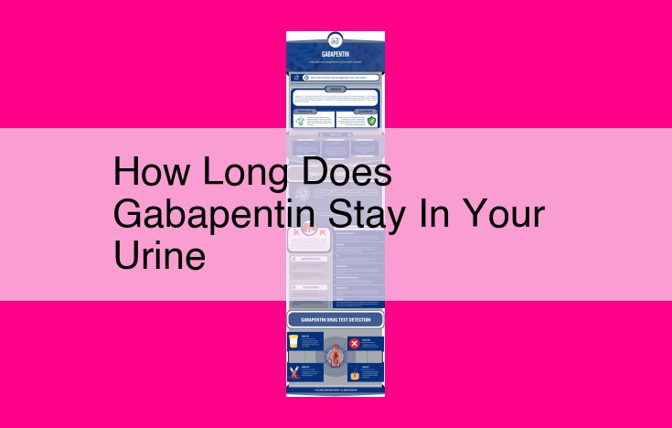 how long does gabapentin stay in your urine