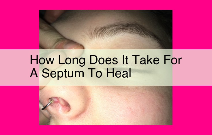 how long does it take for a septum to heal