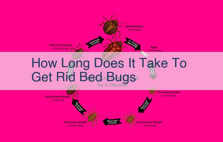 how long does it take to get rid bed bugs