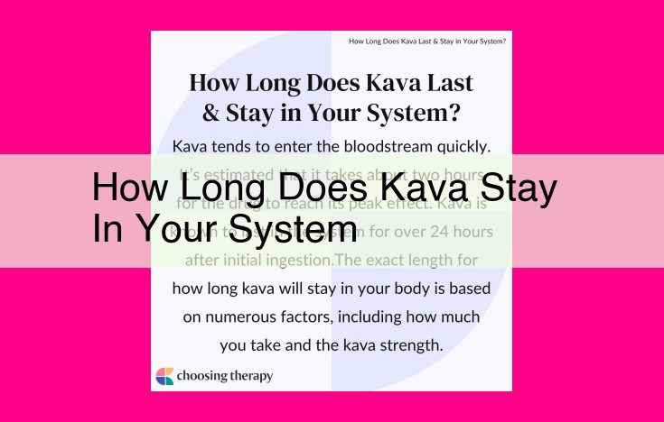 how long does kava stay in your system