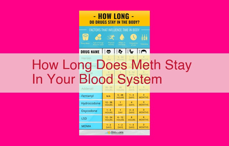 how long does meth stay in your blood system