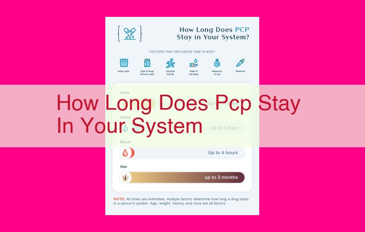 how long does pcp stay in your system