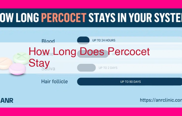 how long does percocet stay