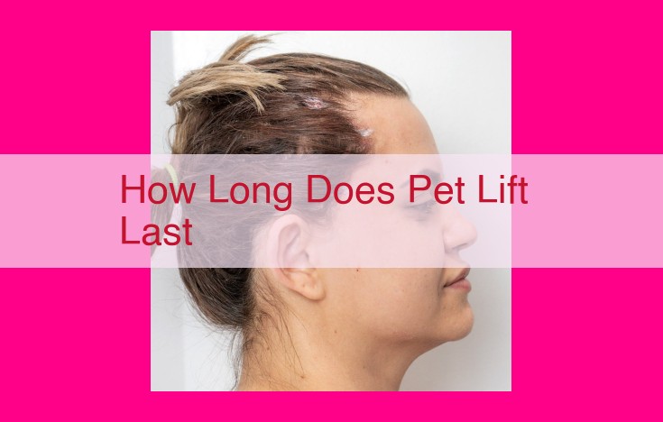 how long does pet lift last