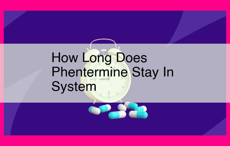 how long does phentermine stay in system