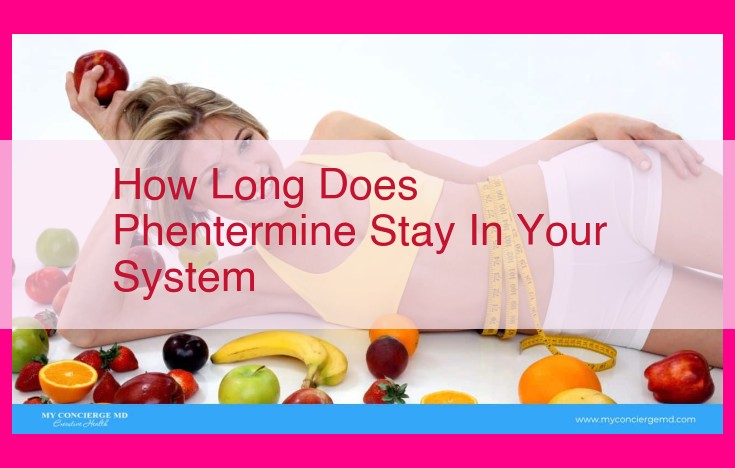 how long does phentermine stay in your system