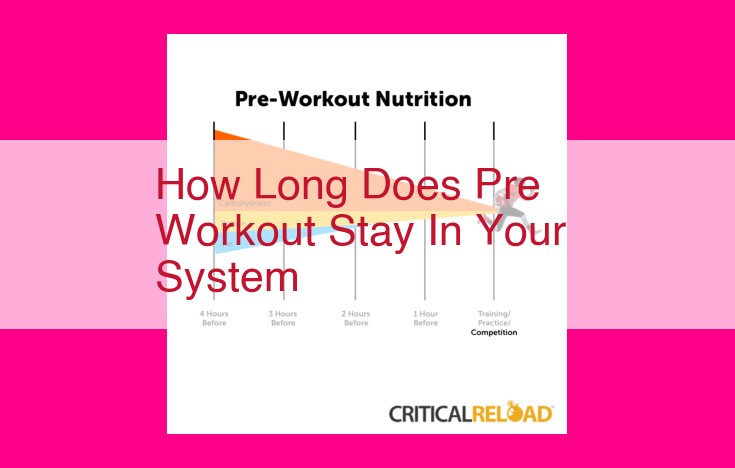 how long does pre workout stay in your system