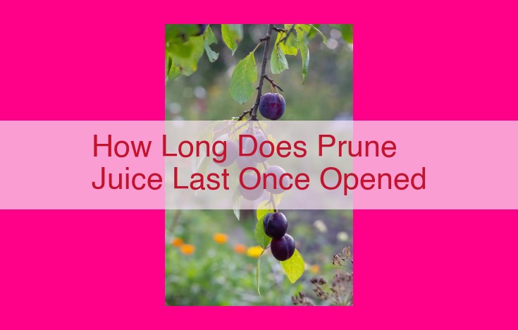 how long does prune juice last once opened