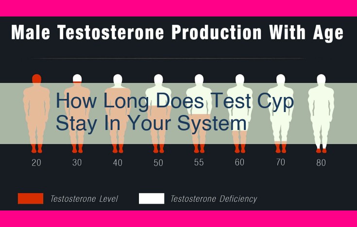 how long does test cyp stay in your system