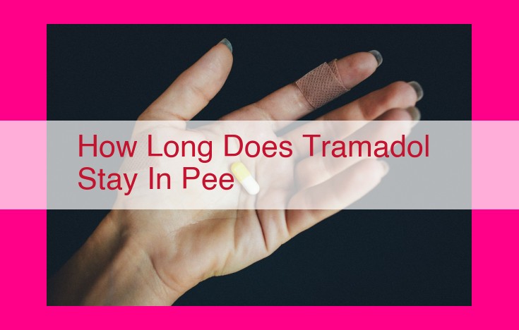 how long does tramadol stay in pee