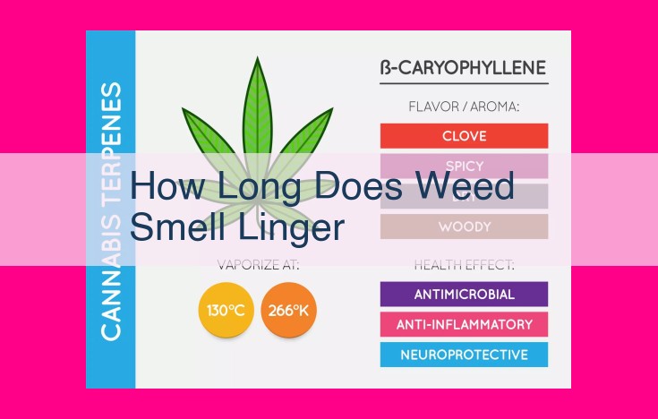 how long does weed smell linger