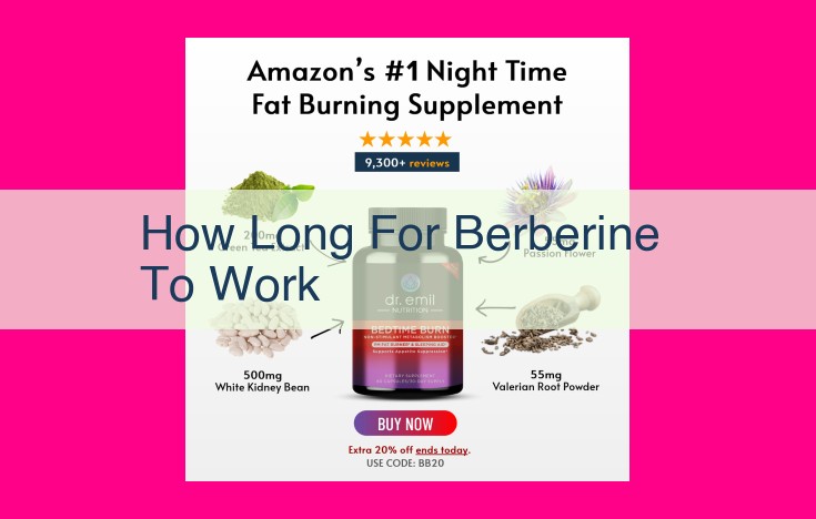 how long for berberine to work