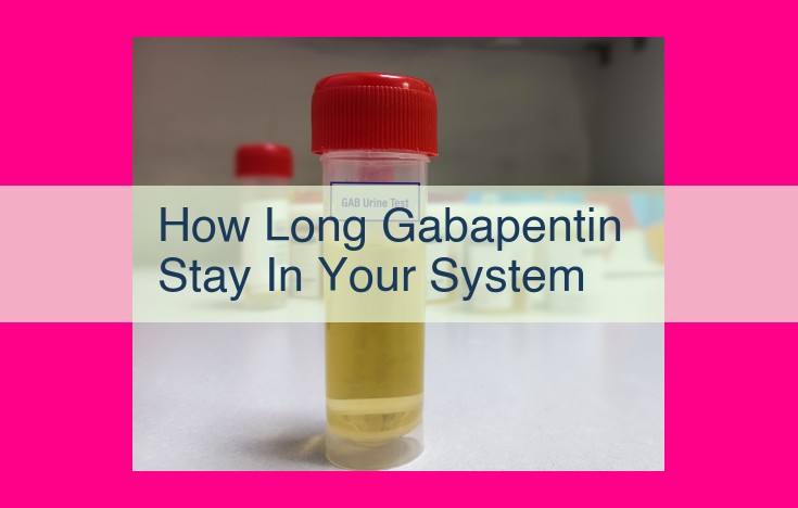 how long gabapentin stay in your system