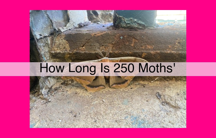 how long is 250 moths'