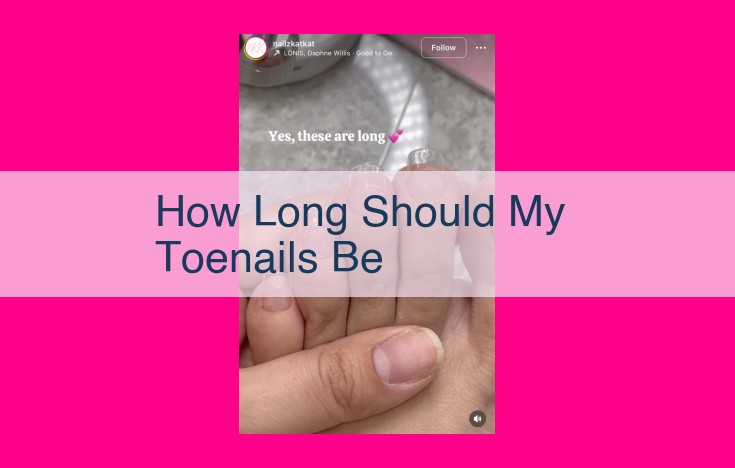 how long should my toenails be