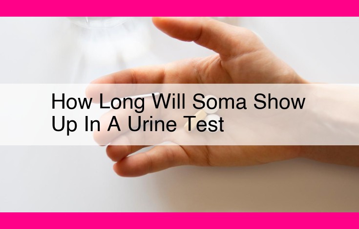 how long will soma show up in a urine test