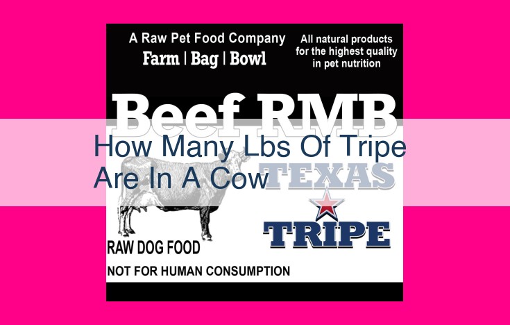 how many lbs of tripe are in a cow