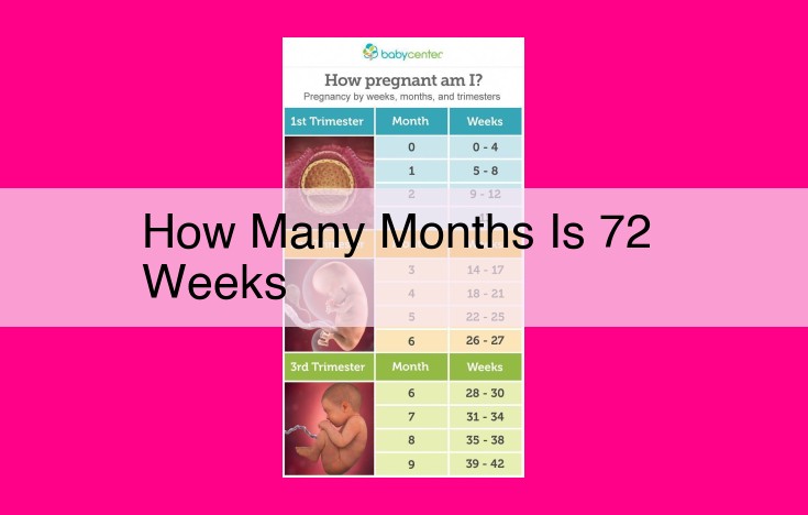 how many months is 72 weeks